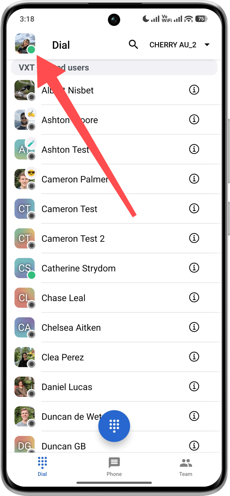 Using multiple caller IDs